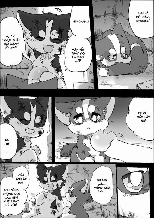 Helper Shibeta 5 trang 5