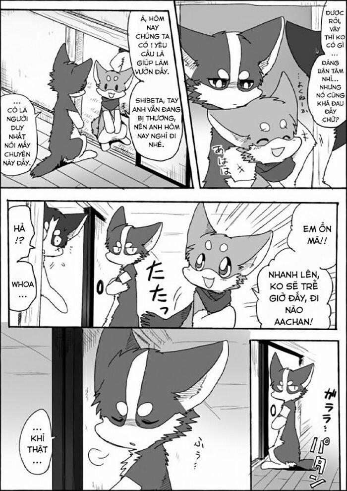 Helper Shibeta 6 trang 21