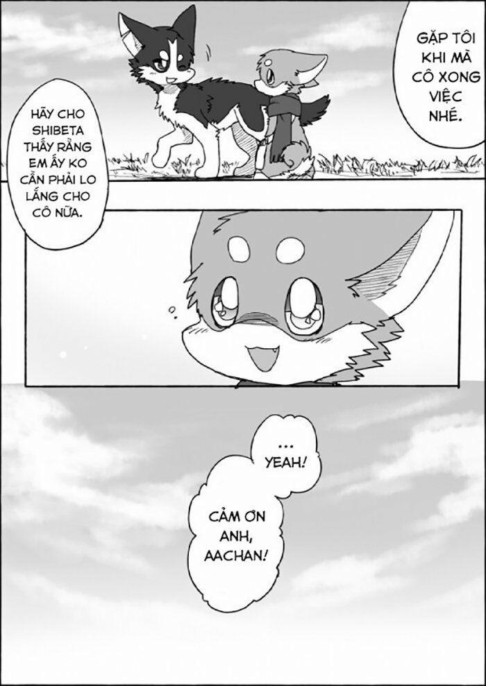 Helper Shibeta 6 trang 27