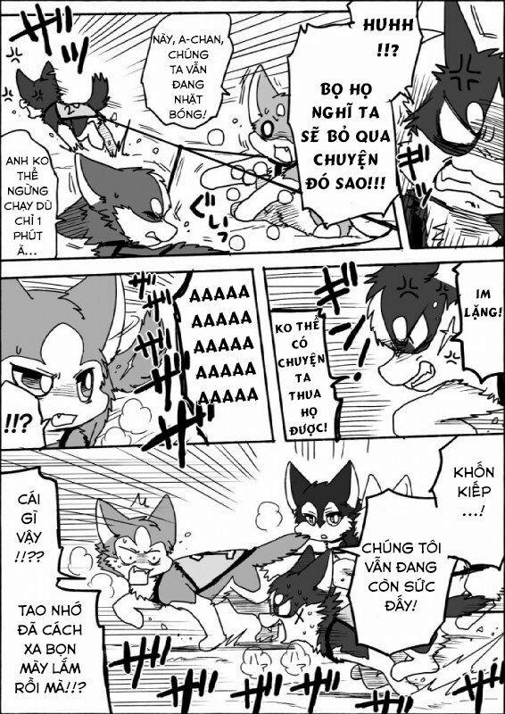 Helper Shibeta 7 trang 17