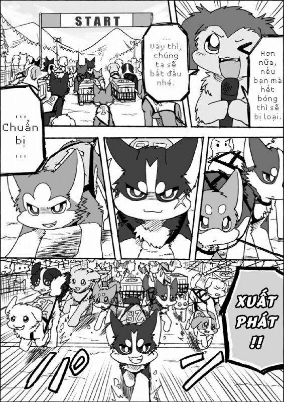 Helper Shibeta 7 trang 9