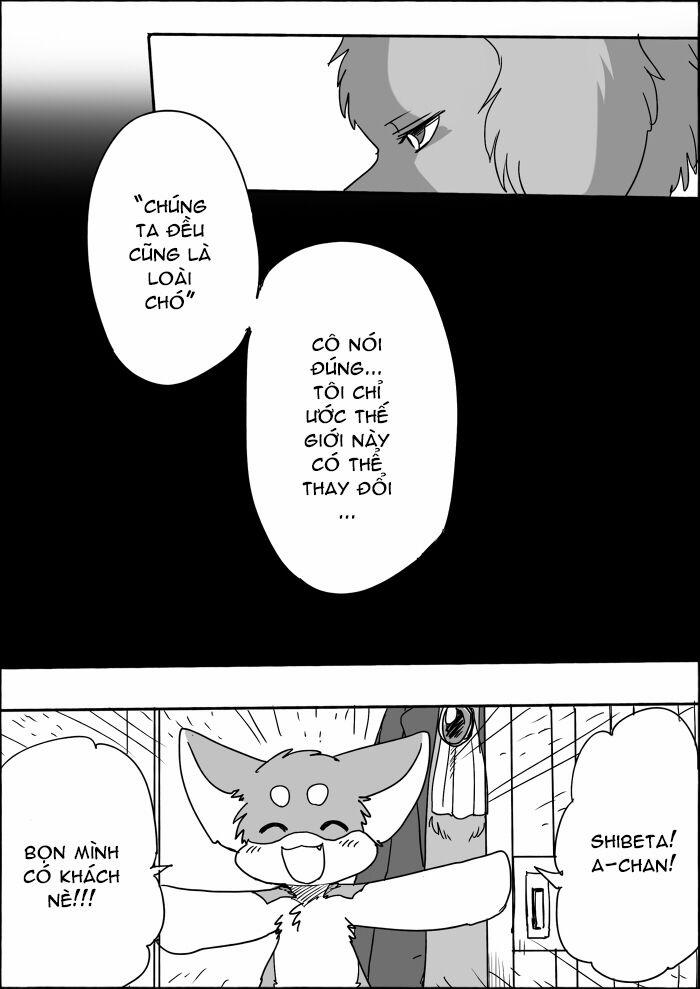 Helper Shibeta 8 trang 13