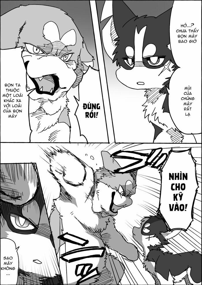 Helper Shibeta 8 trang 22