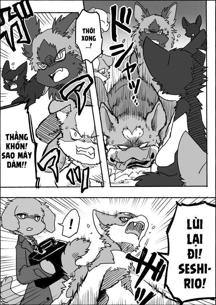 Helper Shibeta 8 trang 24