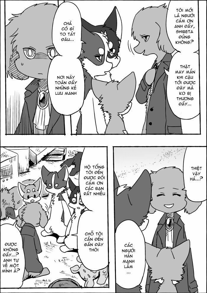 Helper Shibeta 8 trang 29