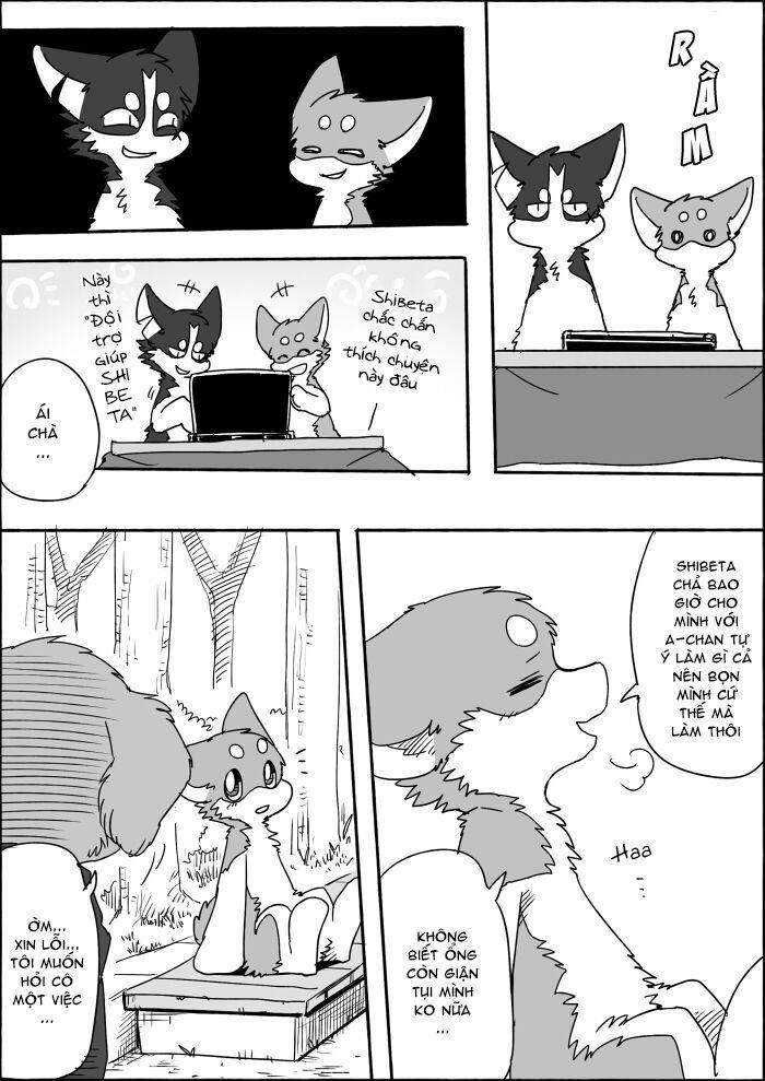 Helper Shibeta 8 trang 6