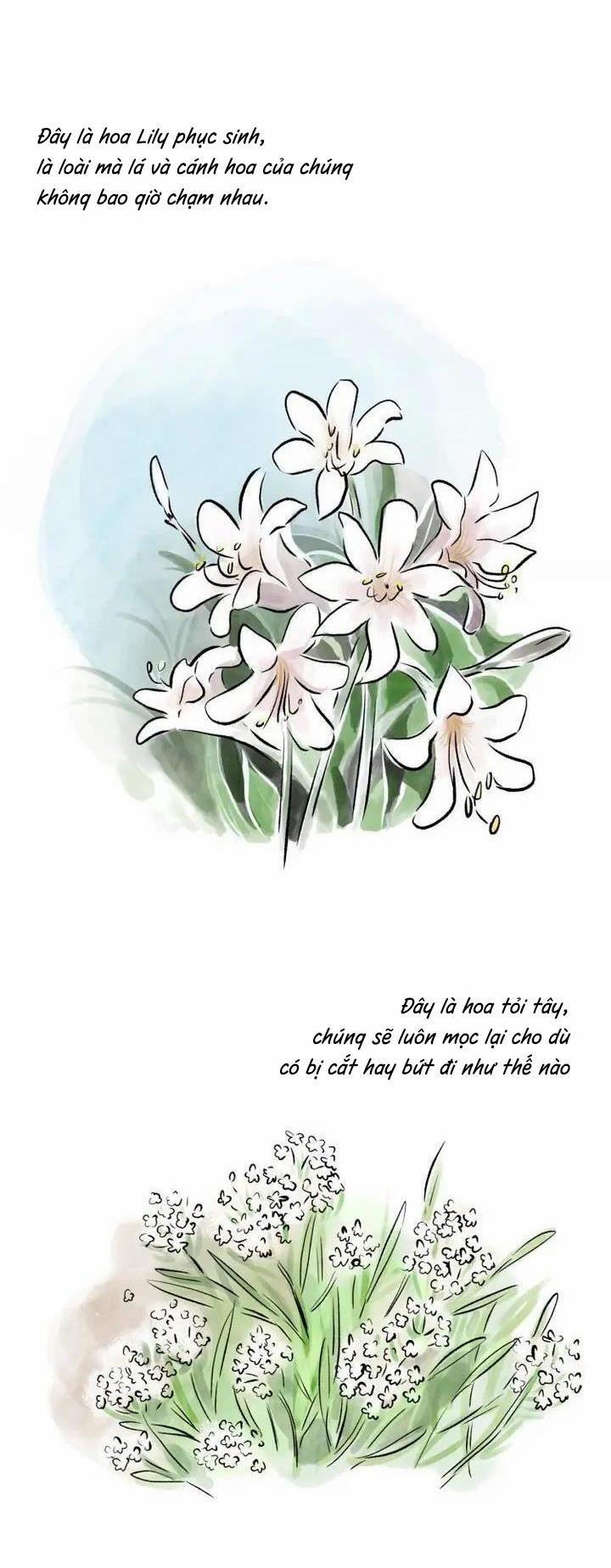 Hẹn Gặp Lại 7 trang 31