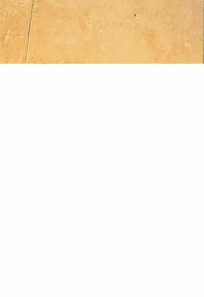 Hoán Đổi Diệu Kỳ 191 trang 42