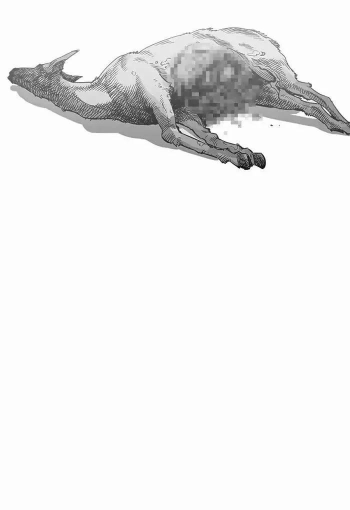 Hoán Đổi Diệu Kỳ 202 trang 29