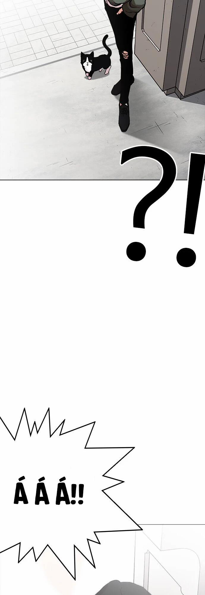 Hoán Đổi Diệu Kỳ 233 trang 50