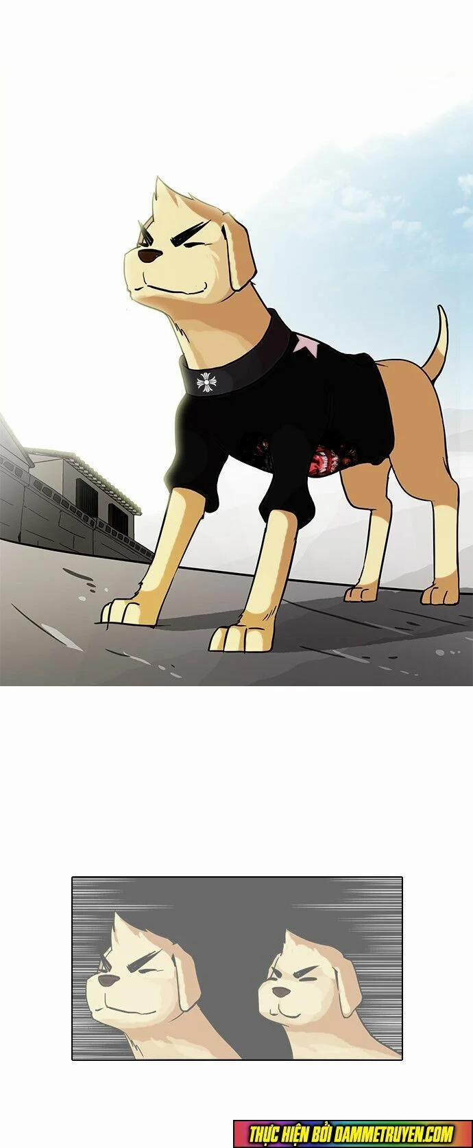 Hoán Đổi Diệu Kỳ 70 trang 50