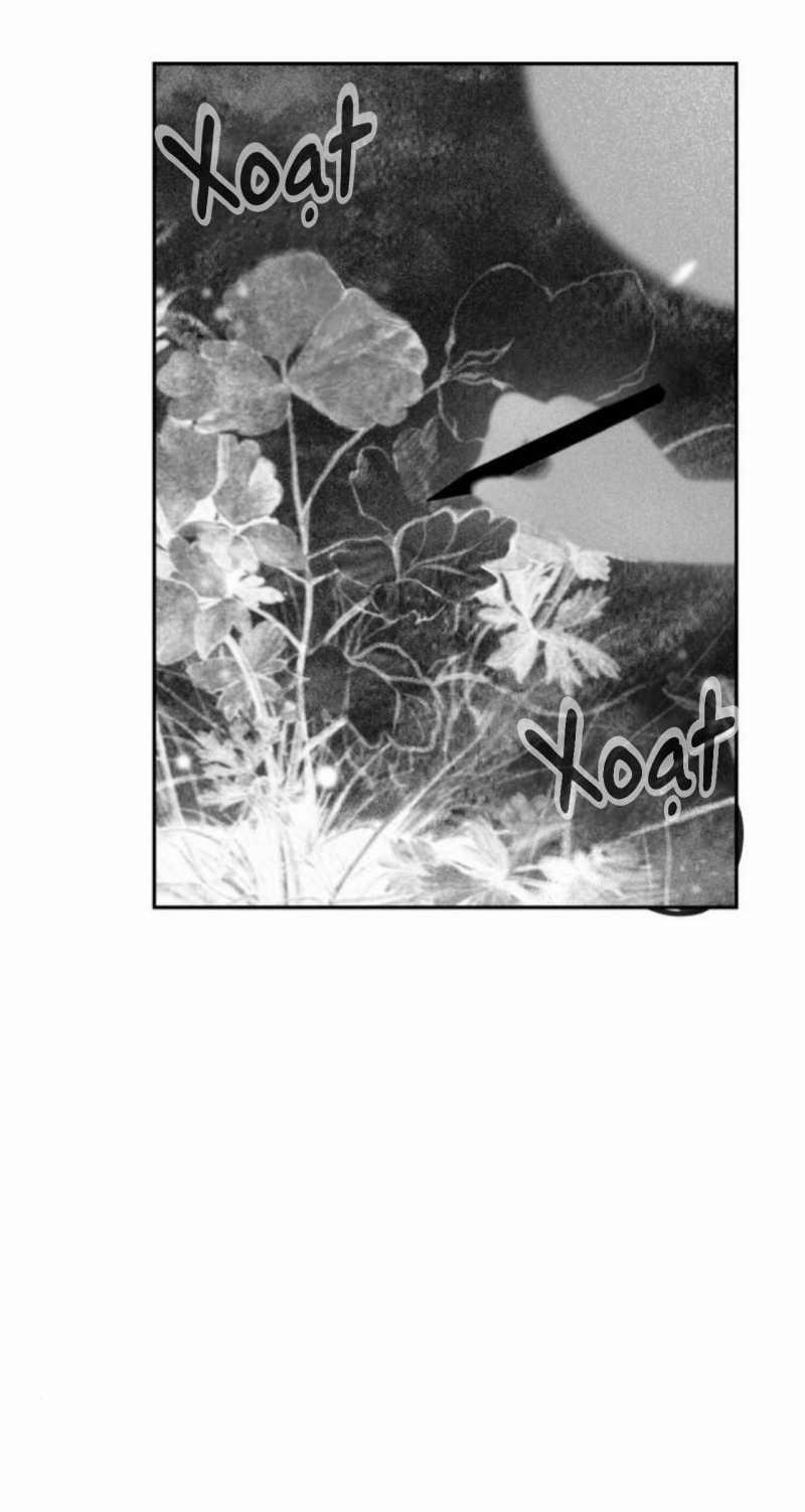 Học Sinh Trường Trung Học Nghệ Thuật Illip 4 trang 24