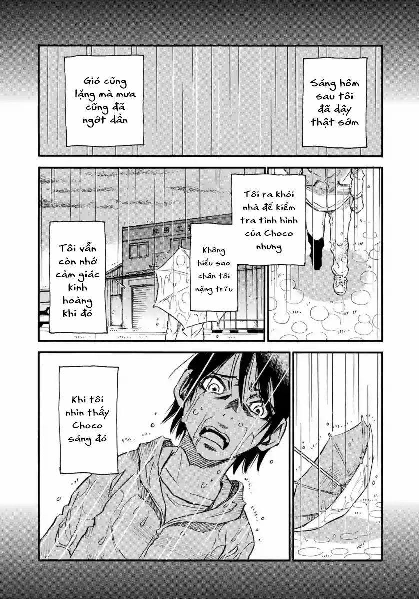 Hòn Đảo Nổi Trên Vũng Nước Bùn 17.1 trang 8