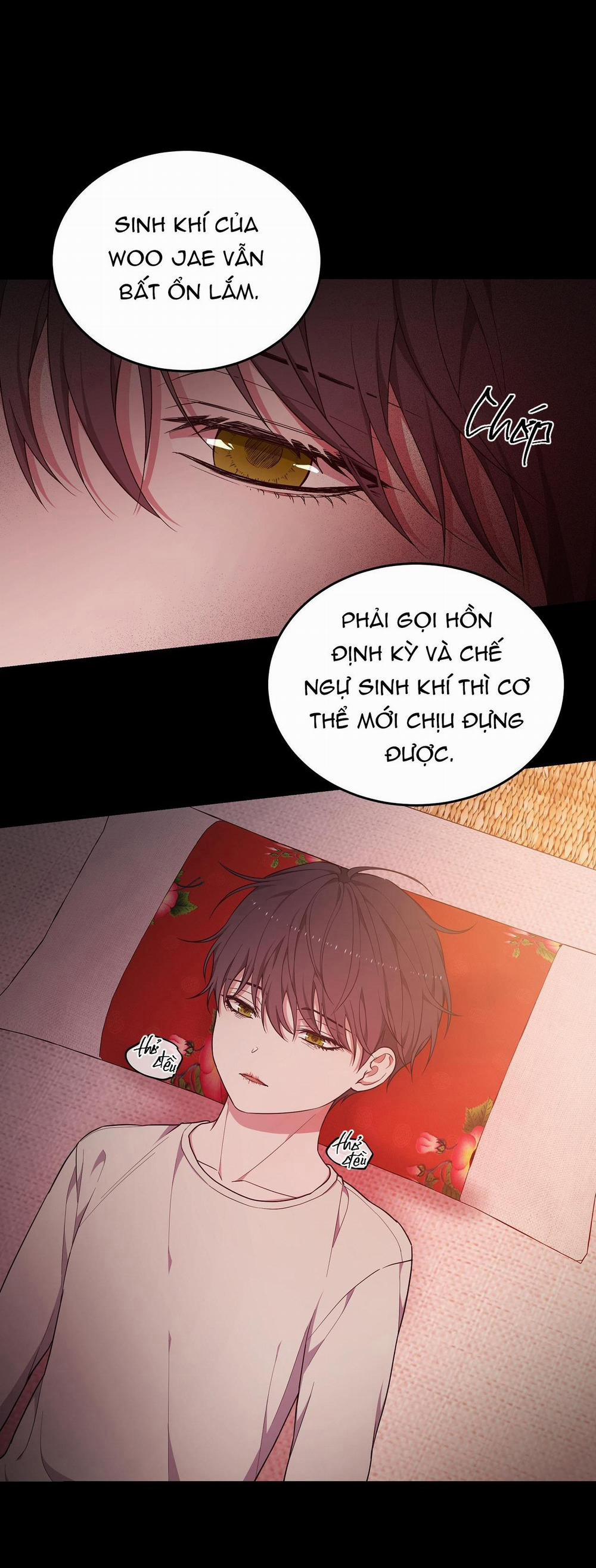 Hỗn Mộng 31 trang 13