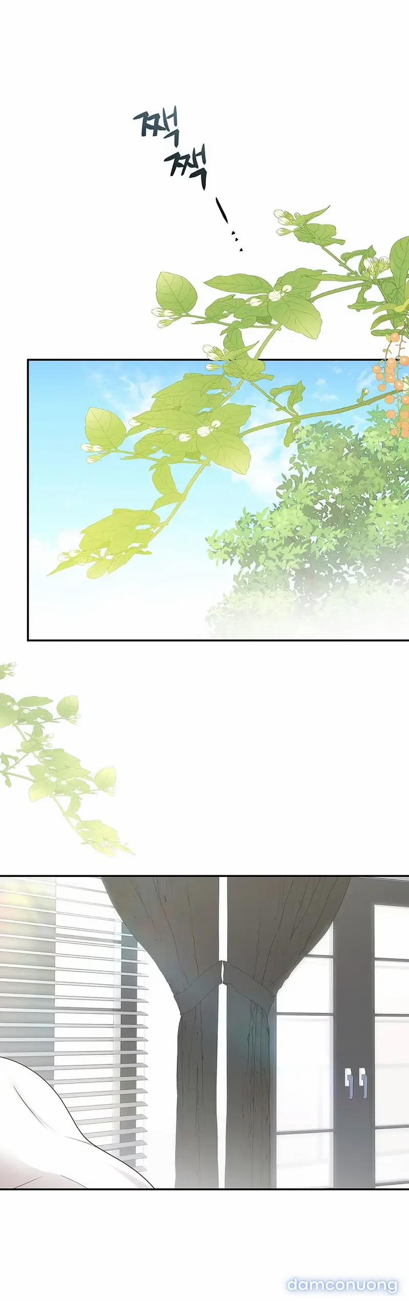 Hôn Nhân Không Lối Thoát 23.2 trang 2