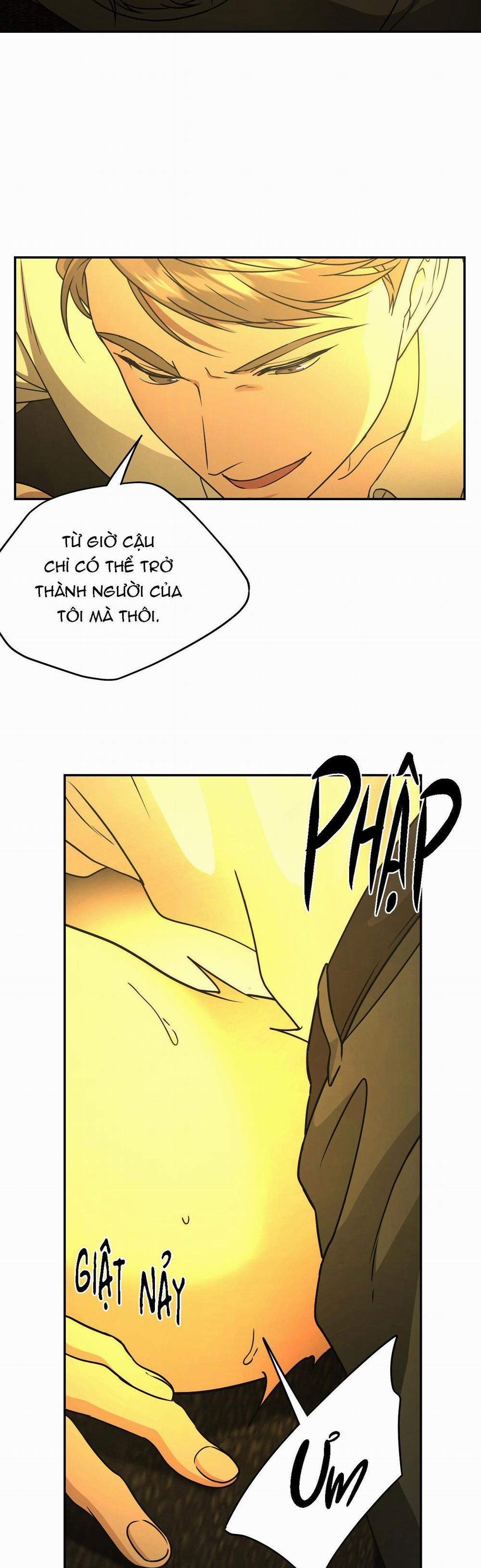 HONEYBEE 3 trang 27