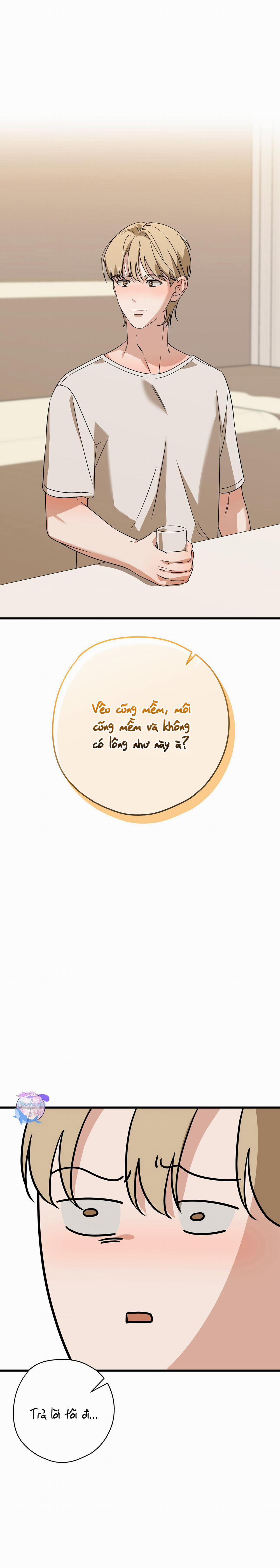 Hợp Đồng Kẹo 12 trang 21