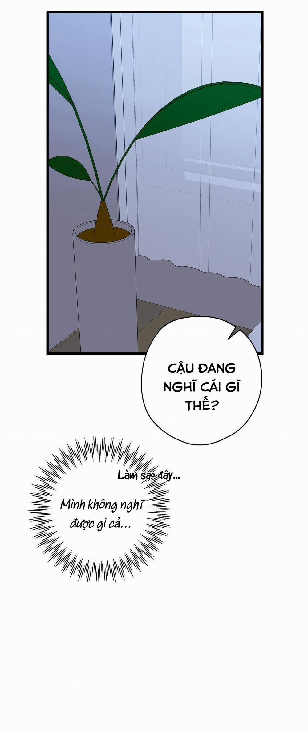 Hợp Đồng Kẹo 17 trang 25