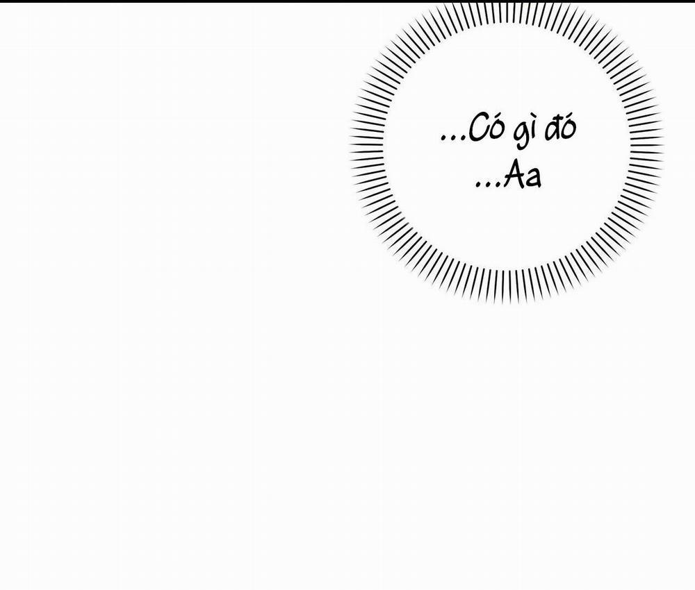 Hợp Đồng Kẹo 19 trang 35