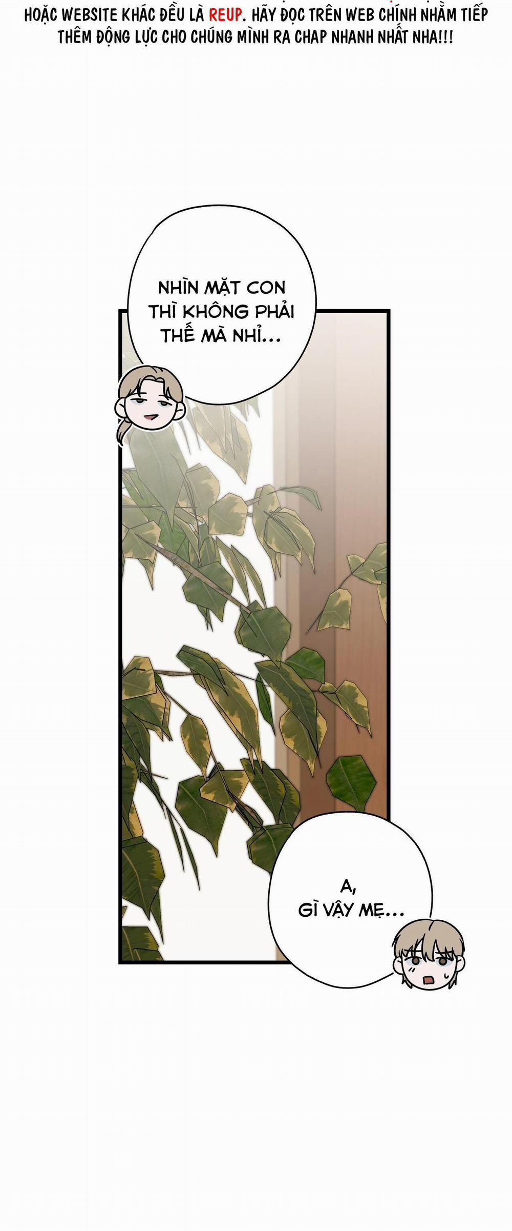 Hợp Đồng Kẹo 20 trang 19