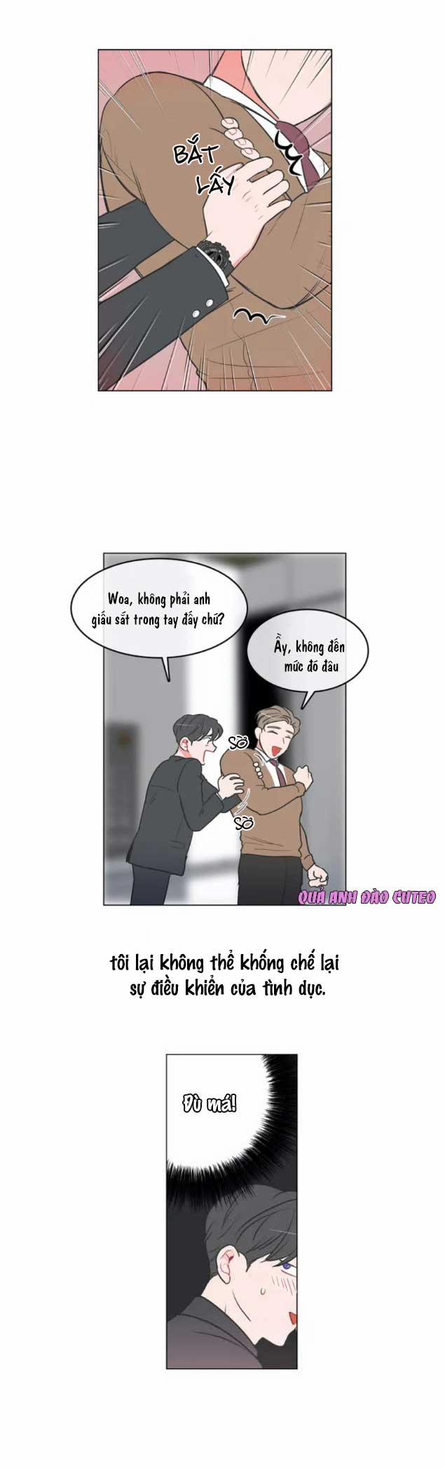 Huấn Luyện Viên Tôi Ghét Cậu 1 trang 24