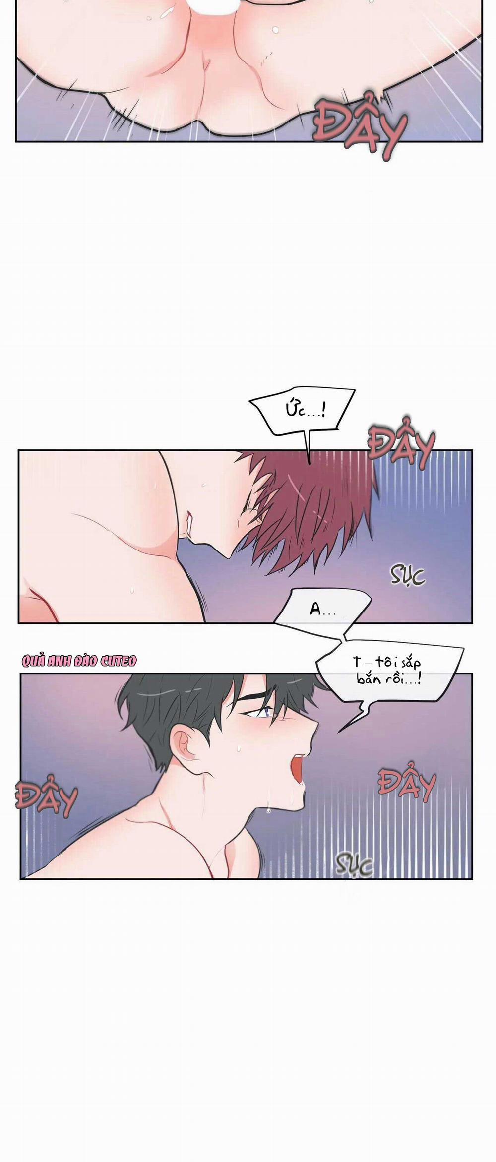 Huấn Luyện Viên Tôi Ghét Cậu 16 trang 19