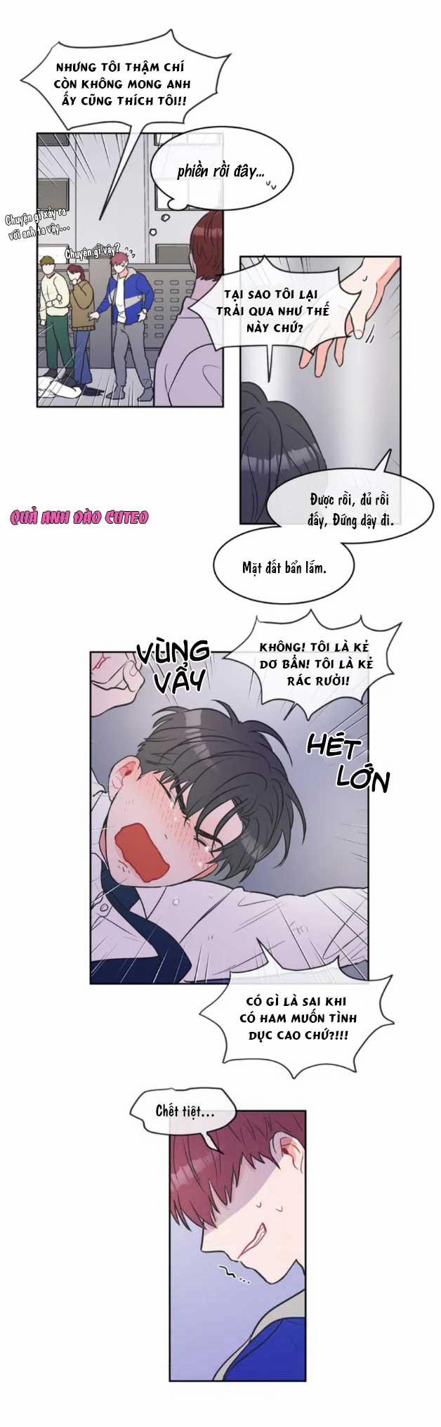 Huấn Luyện Viên Tôi Ghét Cậu 5 trang 8
