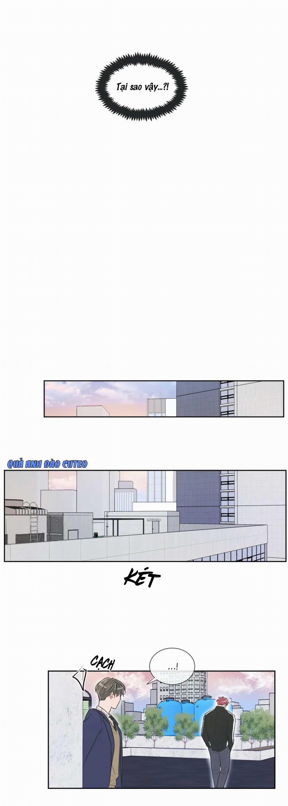 Huấn Luyện Viên Tôi Ghét Cậu 51 trang 13