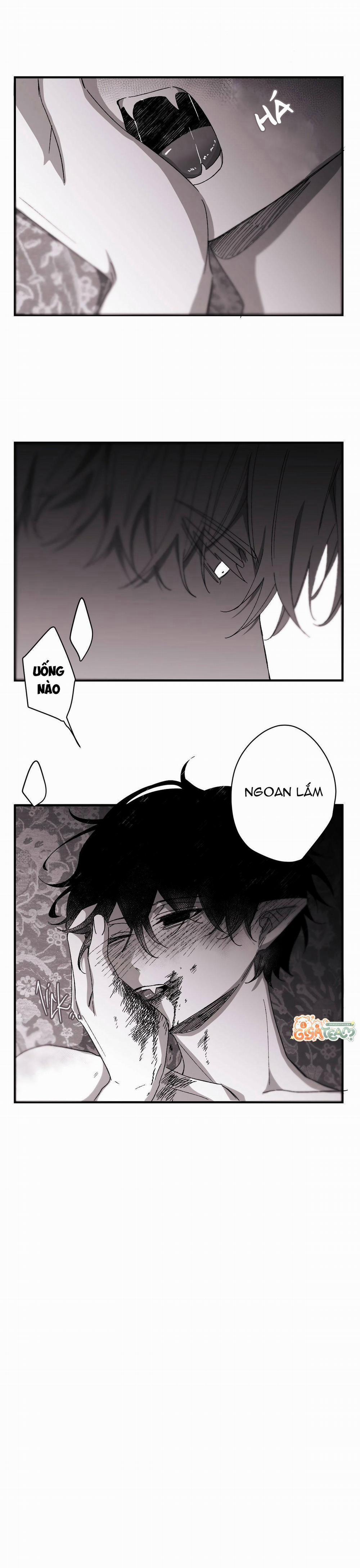 Hunting 16 X 647 10.5 trang 8