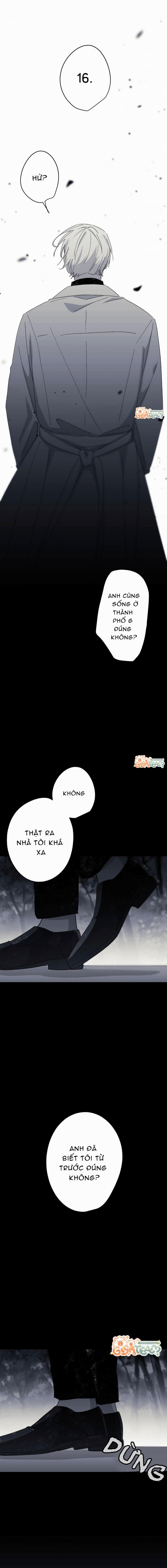 Hunting 16 X 647 10 trang 7