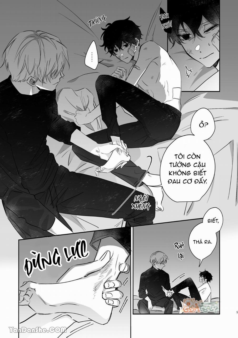 Hunting 16 X 647 13 trang 8