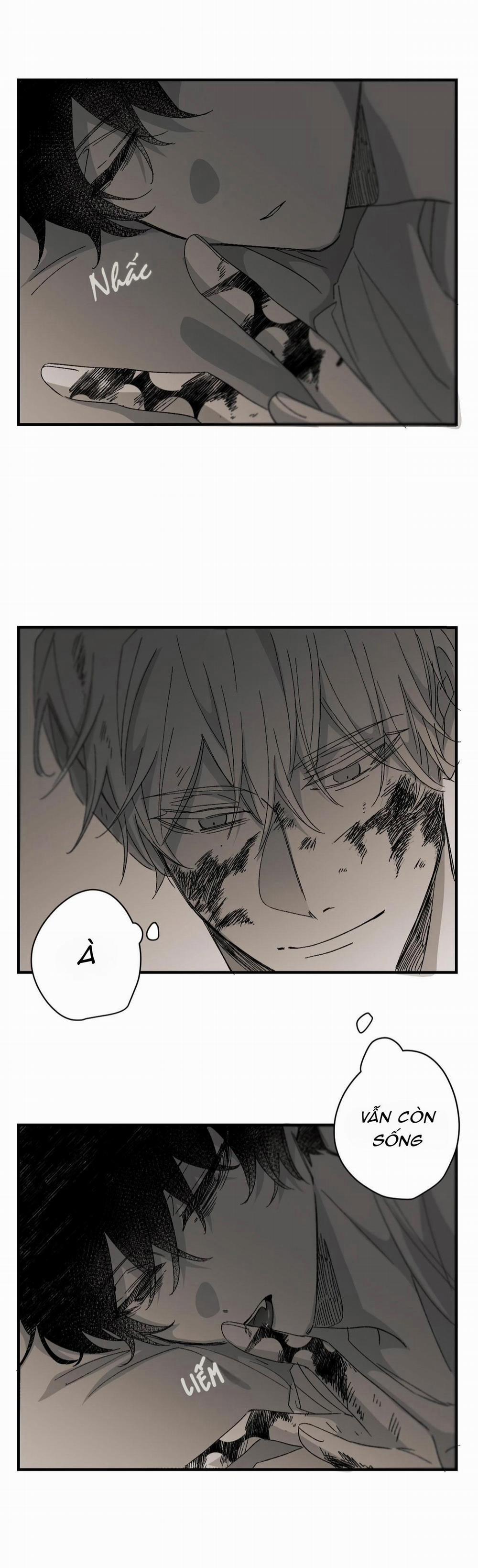 Hunting 16 X 647 7.5 Happy Halloween trang 2