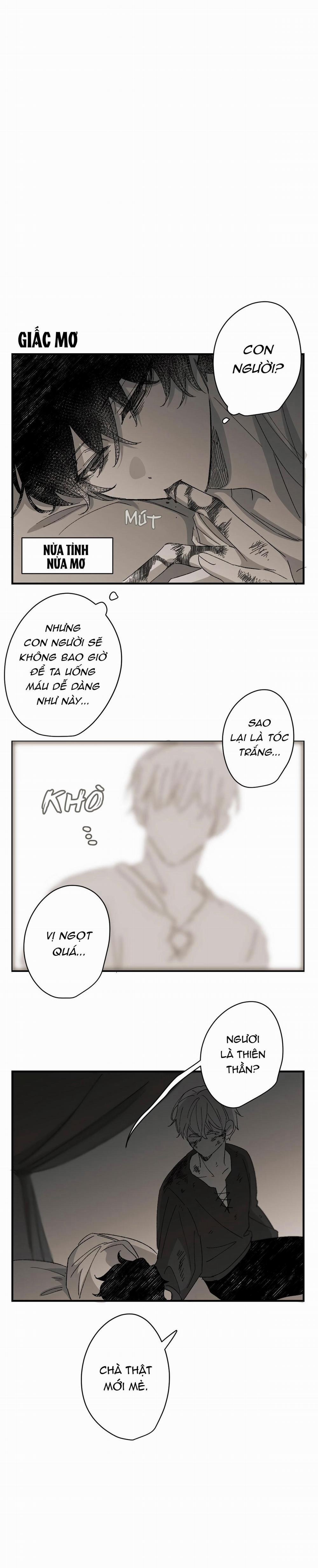 Hunting 16 X 647 7.5 trang 3