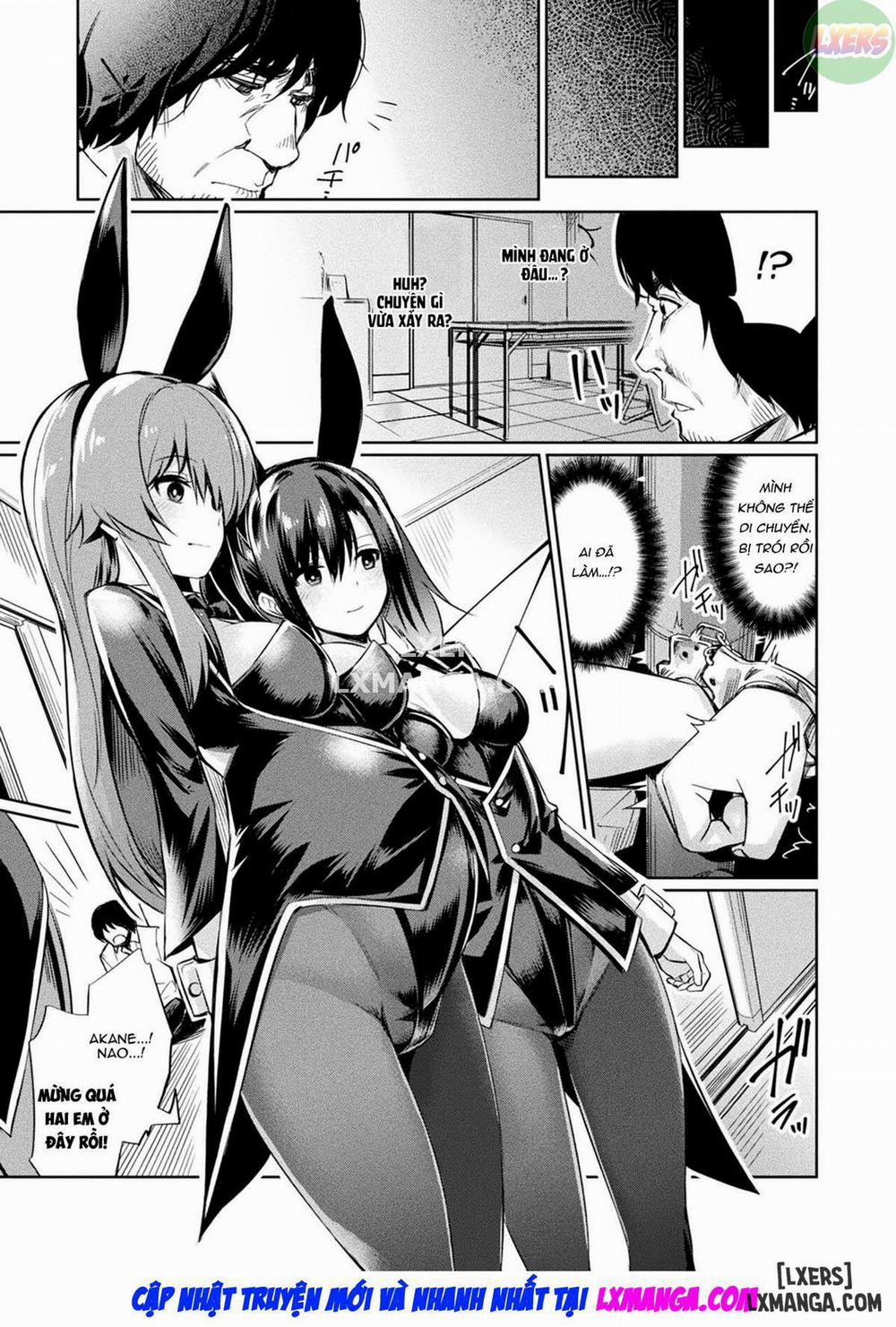 Hypnotic Student Guidance 6 trang 5