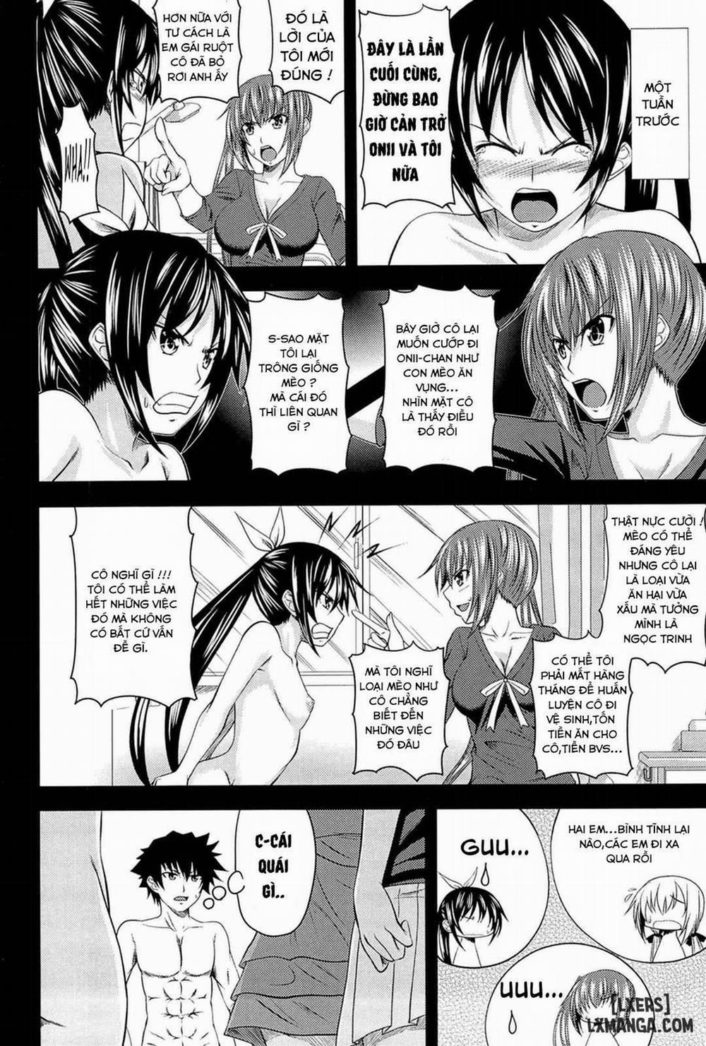 I, My, Me, Mine 6 trang 1