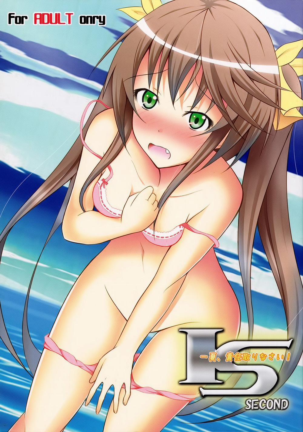Ichika, Sekinin Torinasai! SECOND (Infinite Stratos) Oneshot trang 1