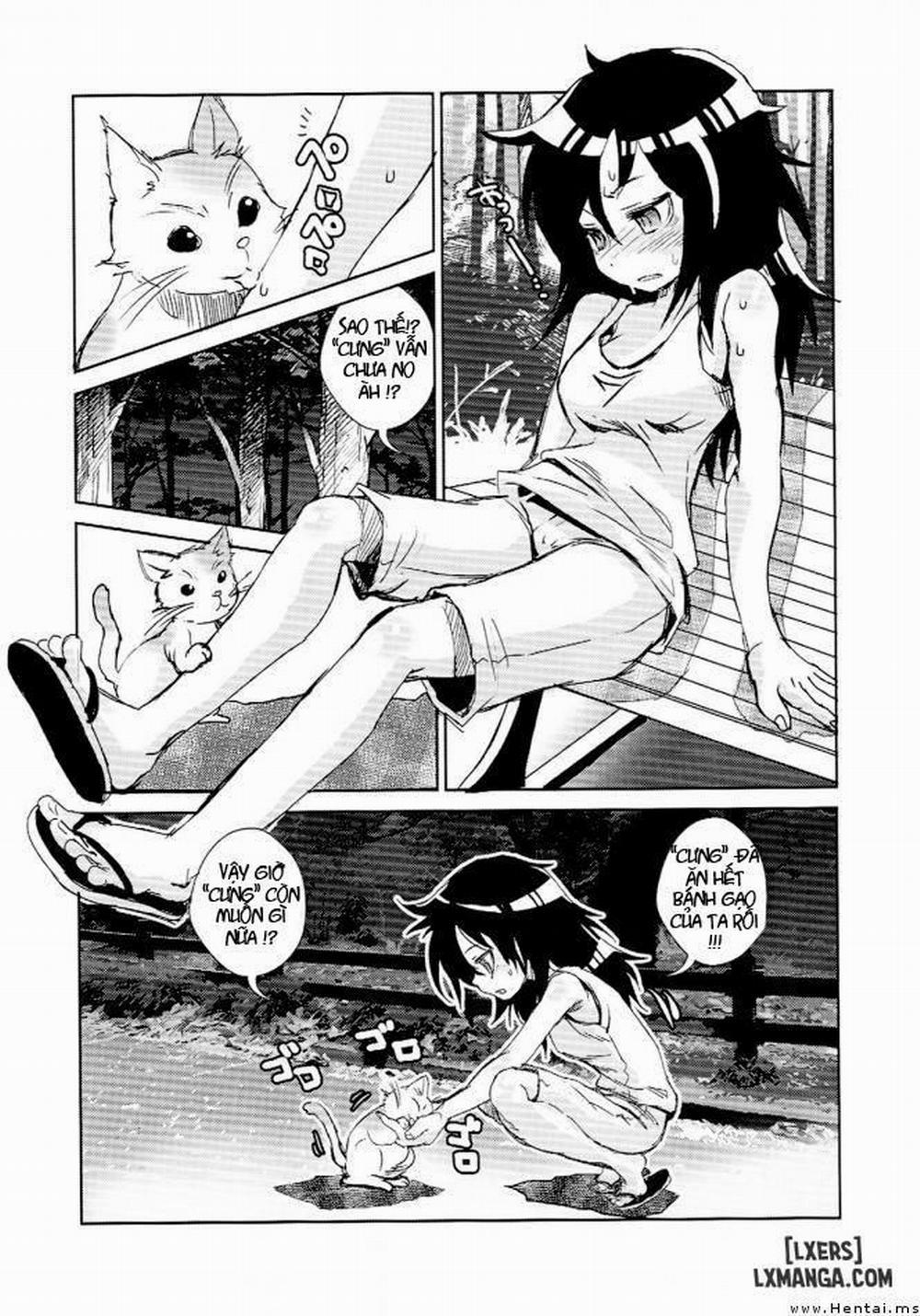 Im Popular Now, But Only With Cats Oneshot trang 1