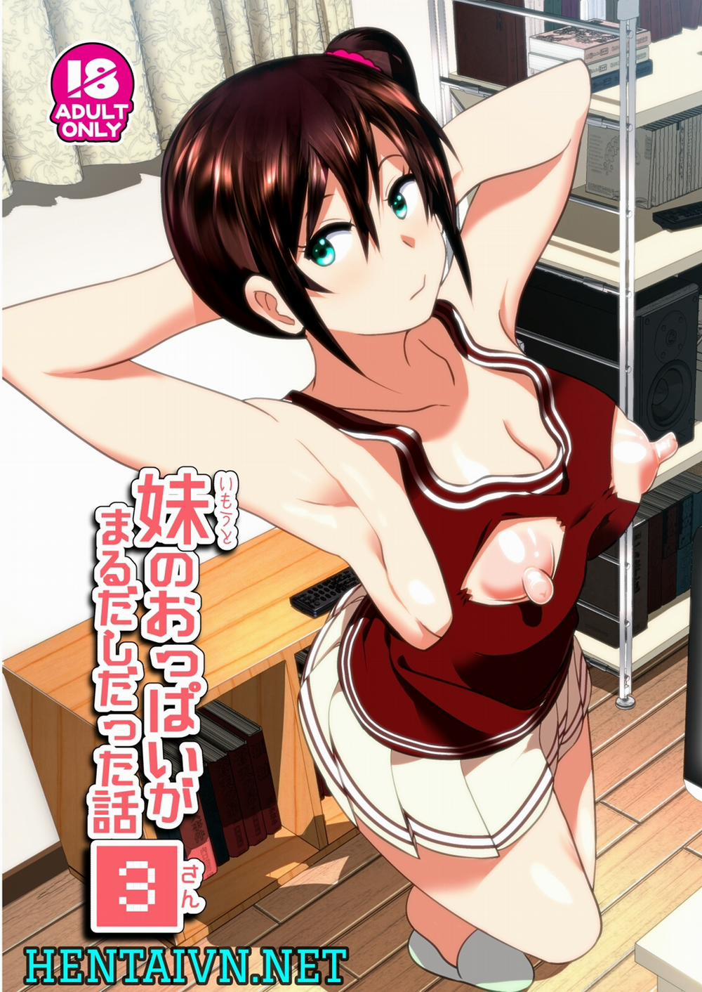 Imouto No Oppai Ga Marudashi Datta Hanashi 3 Oneshot trang 1