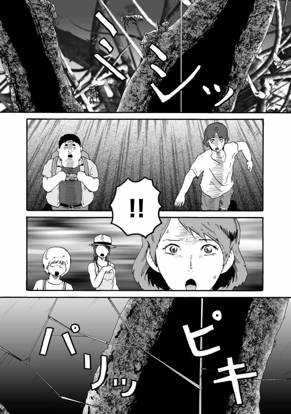 Insects R 4 trang 19