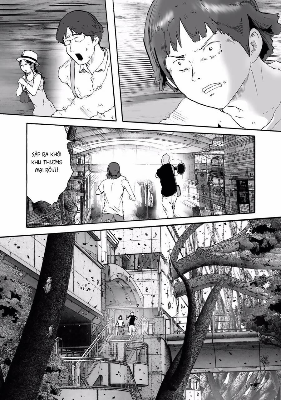 Insects R 6 trang 11