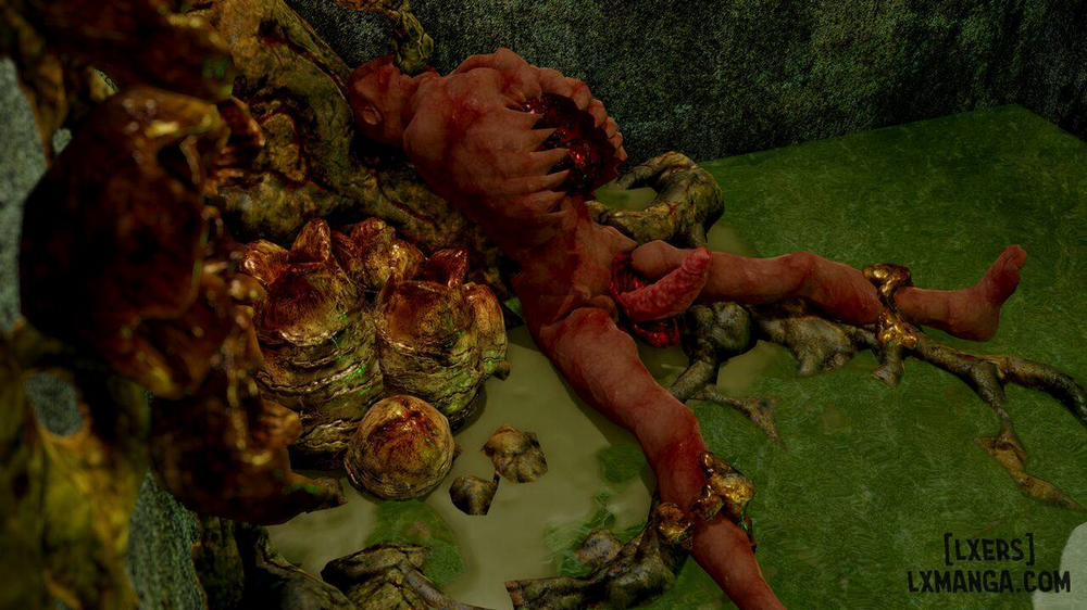 Insektikor 33 trang 49