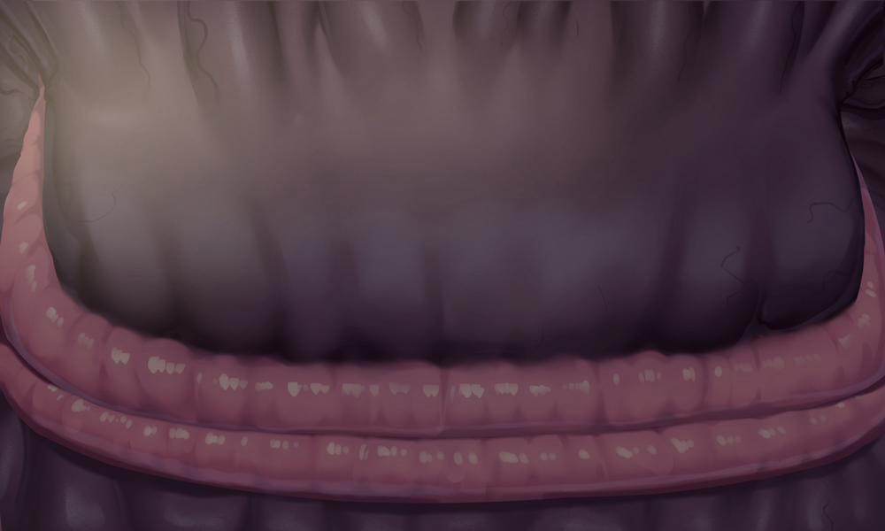 Joukan no Yogite (+CG) CGI trang 49