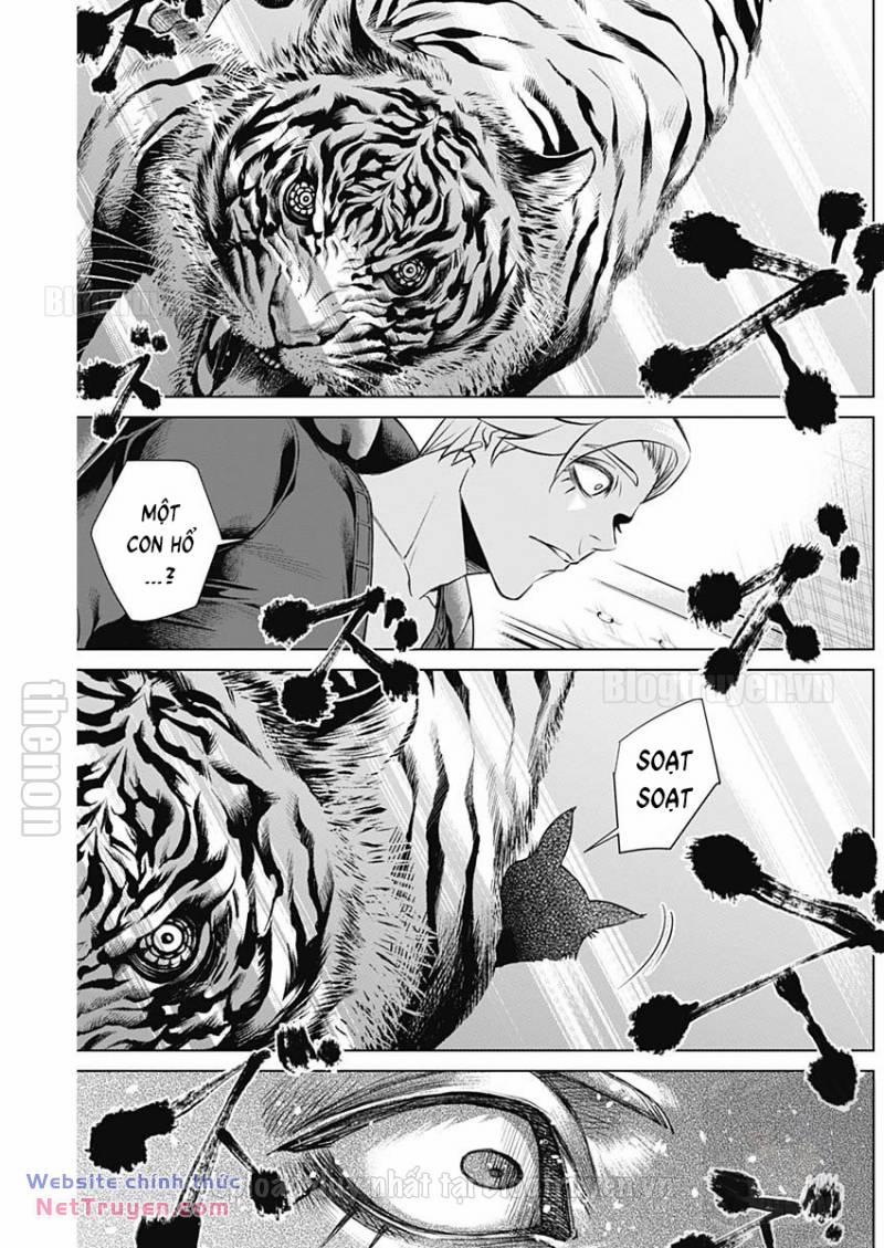 Junket Bank 7 trang 10