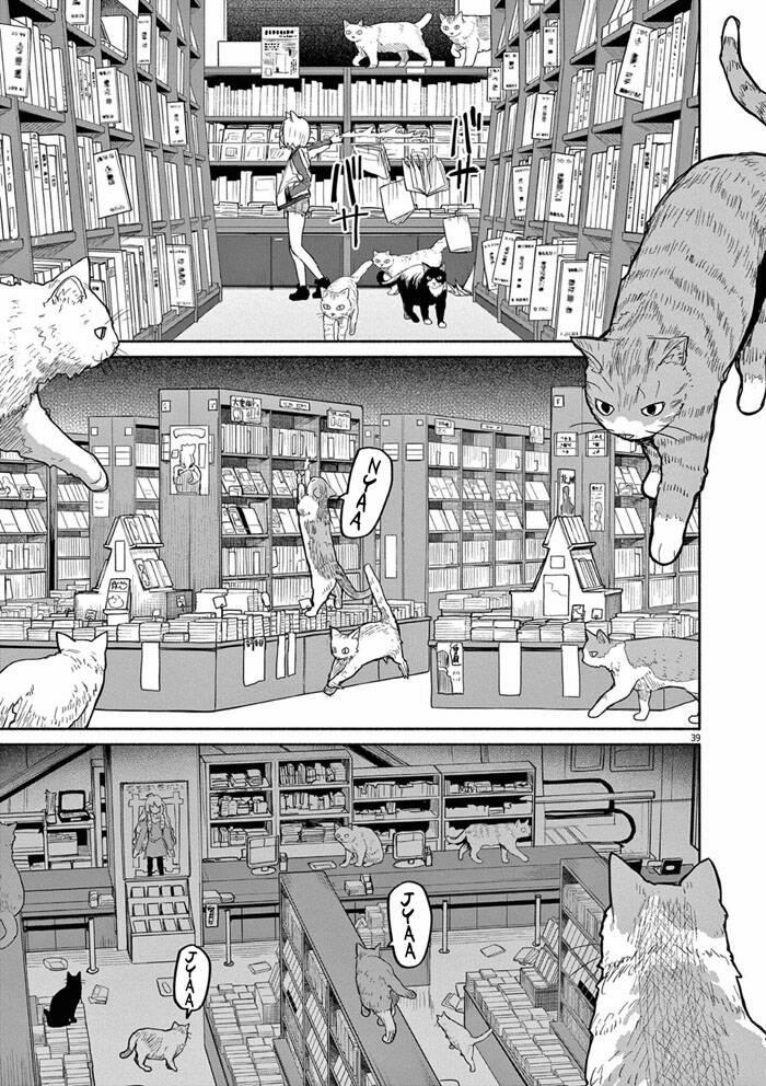 Kaii To Otome To Kamigakushi 47 trang 9