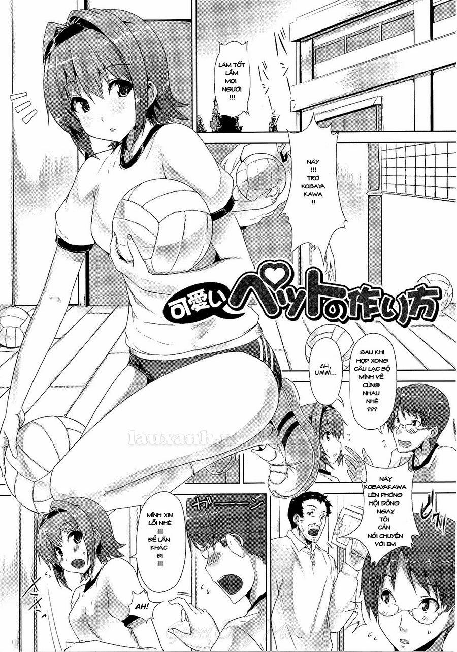 Kawaii Pet No Tsukurikata Oneshot trang 0