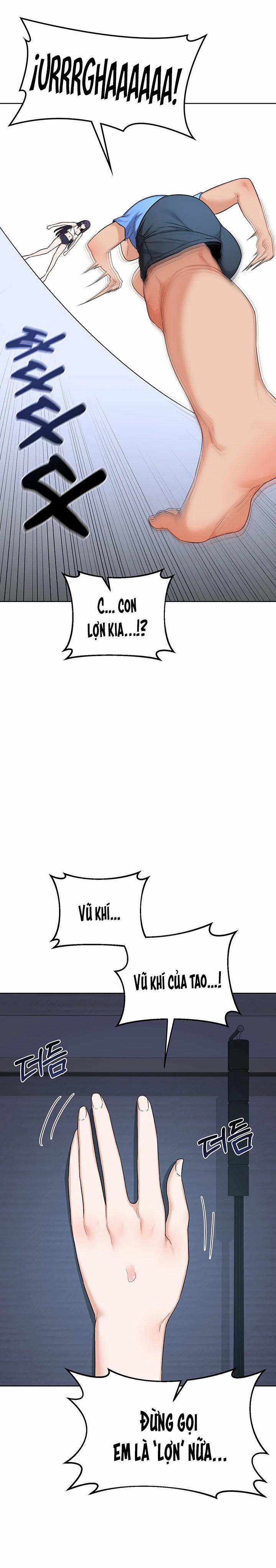 Kế hoạch trao đổi mẹ 28 trang 14