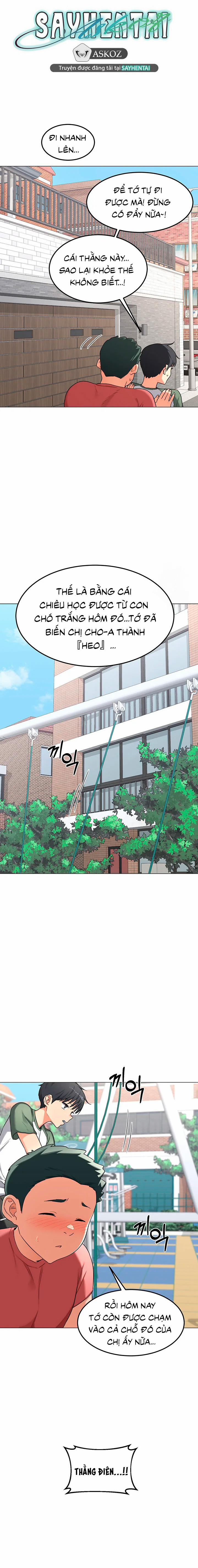 Kế hoạch trao đổi mẹ 35 trang 14