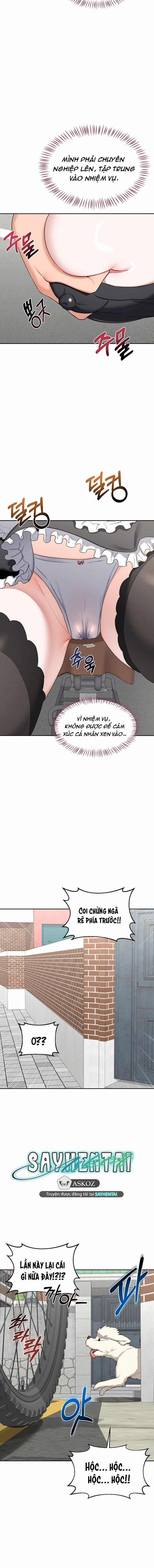 Kế hoạch trao đổi mẹ 63 trang 5