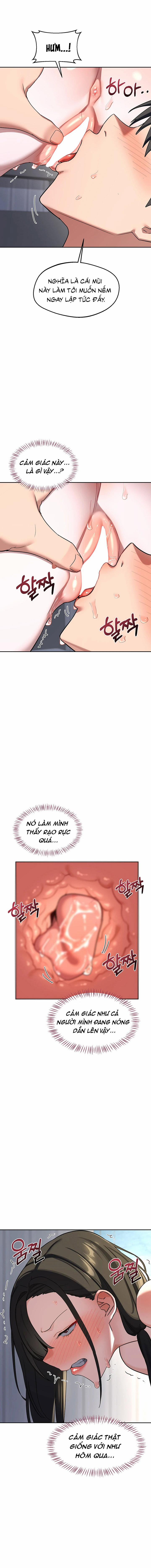 Kế hoạch trao đổi mẹ 66 trang 10