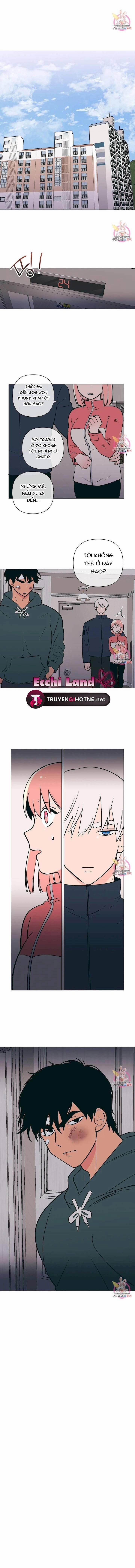 Kem Trái Cây Vị Đào 61.2 trang 2